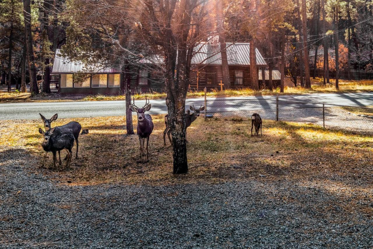 The Great Escape Villa Ruidoso Bagian luar foto