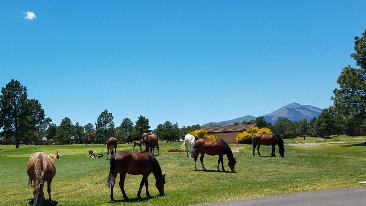 The Great Escape Villa Ruidoso Bagian luar foto